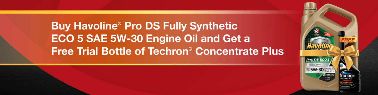 Buy Havoline® Pro DS Fully Synthetic ECO 5 SAE 5W-30 Engine Oil and Get a Free Trial Bottle of Techron® Concentrate Plus