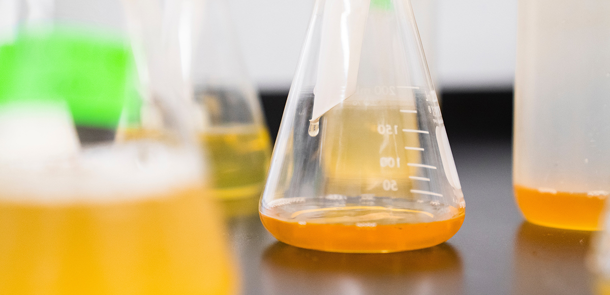Know the best practices for oil sample analysis